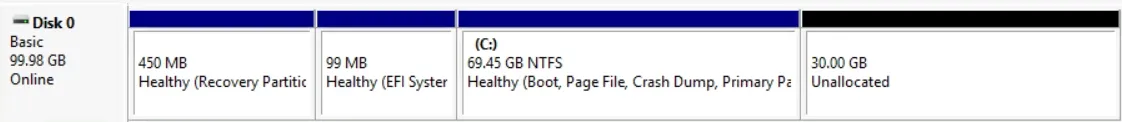 disk0-100-30.webp